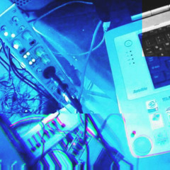 Eclectic Electronica Era