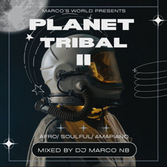 PLANET TRIBAL ll