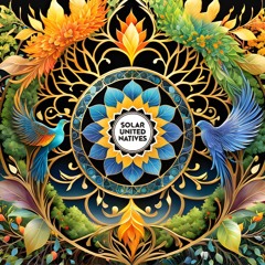 Live at S.U.N. Festival 2024 - The new Beginnig