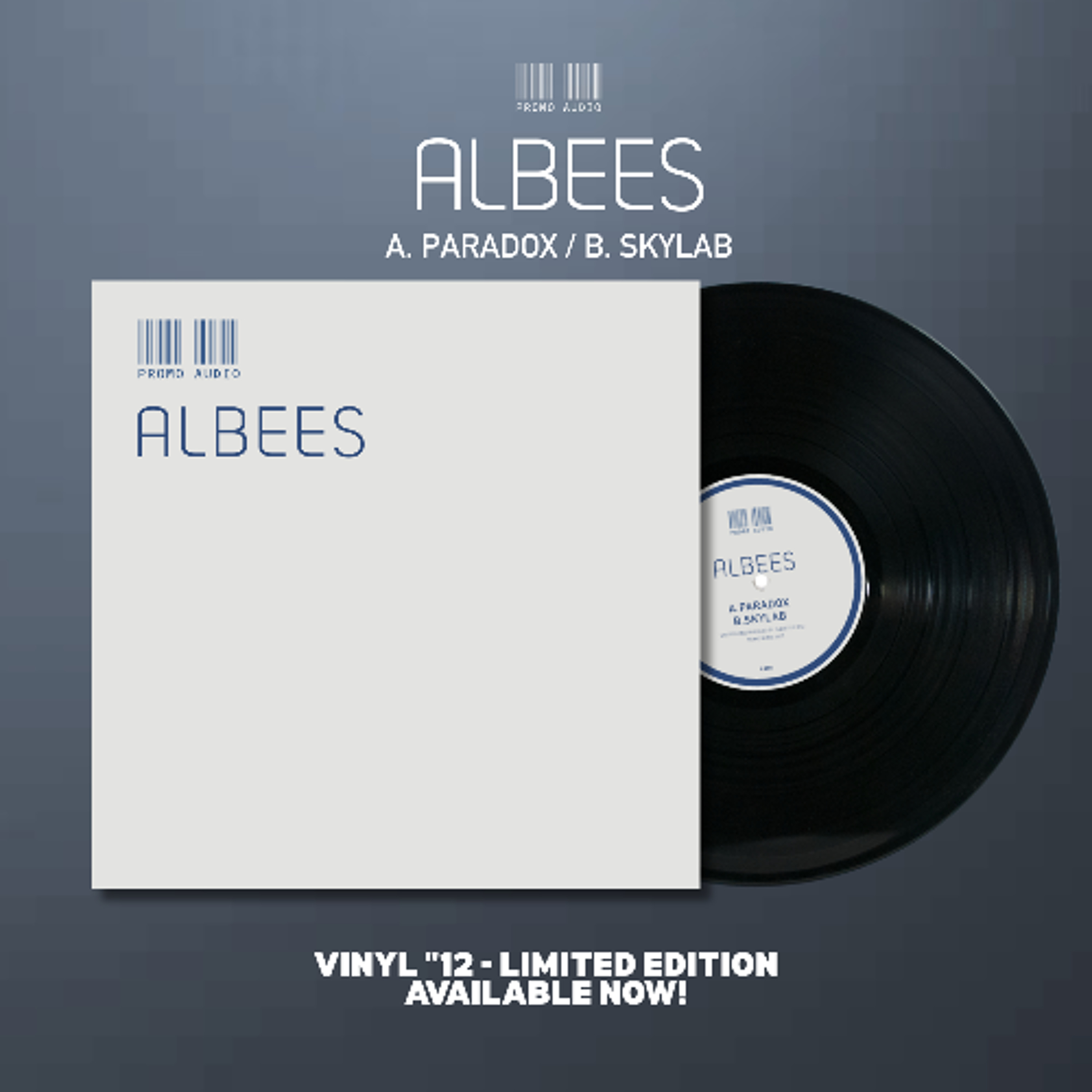 Albees - A. Paradox / B. Skylab (Vinyl "12) episode artwork