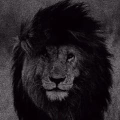 ‎⁨ابوي وينه  ناهد محجوب  جديد وحصرى #ابوبا_سودانيز⁩.m4a