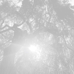 One Strange Dream