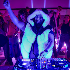 Black Panda LIve @ Burning Man Decompression 2025 at The Loom Oakland | Heavy Petting Zoo Takeover