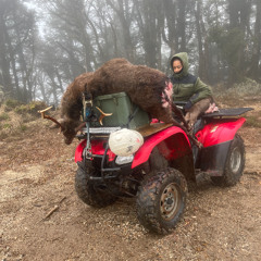 Aotearoa Reggae vibez (Dj Mana)