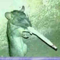 Uh oh I drank the water