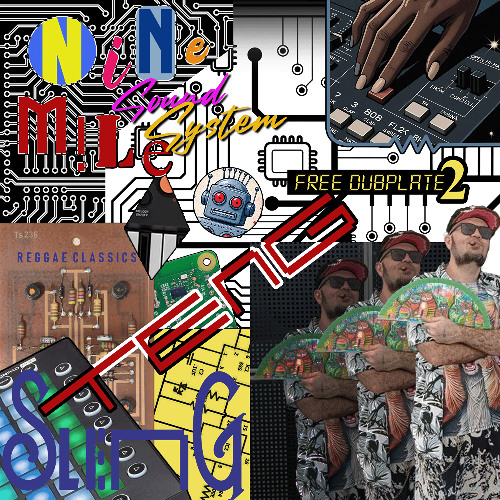 Sleng Teng (Insane DnB Remix)