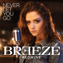 Never Let You Go - Breeze Redwine