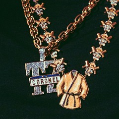 TZ da Coronel - Met Gala (sem feat)