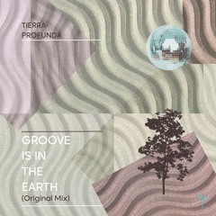 FREE DL - Groove is in the Earth (Original Mix)