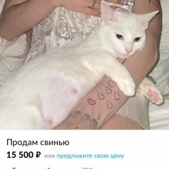 Билет (демо)