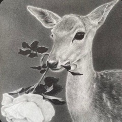 Meaningful Love-Silo (instrumental)