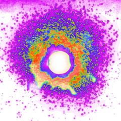 FRANK OCEAN - WHITE FERRARI (DAWGY 'EUPHORIC' BOOTLEG) [FREE DL]