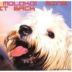 Moloko - Sing It Back (SafetyJac Re-Edit)   *** FREE DOWNLOAD ***