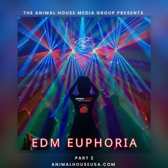 AH's EDM Euphoria Mix: Part 2