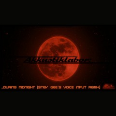 Akkustiklabor - ...during Midnight (Stev Gee´s Voice Input Remix)