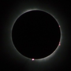 The Illustrated Doll