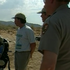 joshua tree