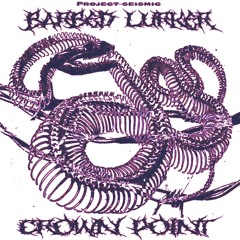 Crown Point - BARBED LURKER