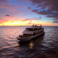 Review Special Price Evening Yacht Cruise With Optional Dining In St. Petersburg