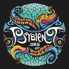 psybient.org podcast ( psybient psychill psydub ambient downtempo psychedelic psybass psygressive)