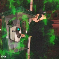 TRAP FACT - bezzi