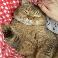 dawless tapemachine jam experiment.wav