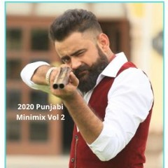 2020 Punjabi Minimix. Vol 2