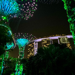 Afro & Melodic House [nov. 2025]