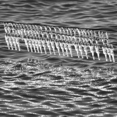 "Donkers Mood" Paul Hartkamp & Jean-Paul Lamers