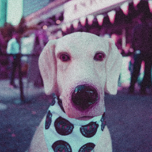 can you imagine nothing?