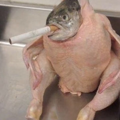 back2back nitonb | rondomontana