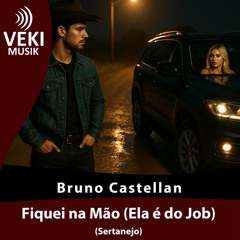 Fiquei na Mão (Ela é do Job)