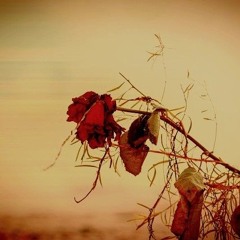 may our love be free