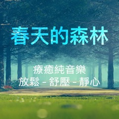 [療癒音樂#1] 春天的森林/Healing Music-Forest in Spring