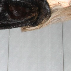 Cover of "Sama Nainen" by Chisu