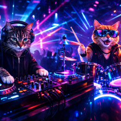 Dj Cat Set 4
