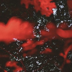 guest mixes : radio + series