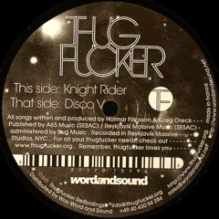 Thugfucker - Disco V (Original Mix)