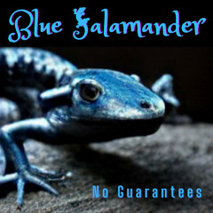 Kenny Loggins - Danger Zone (Cover by Blue Salamander)