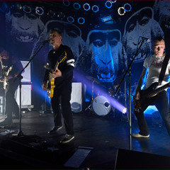 Hurra die Welt geht unter (Live)