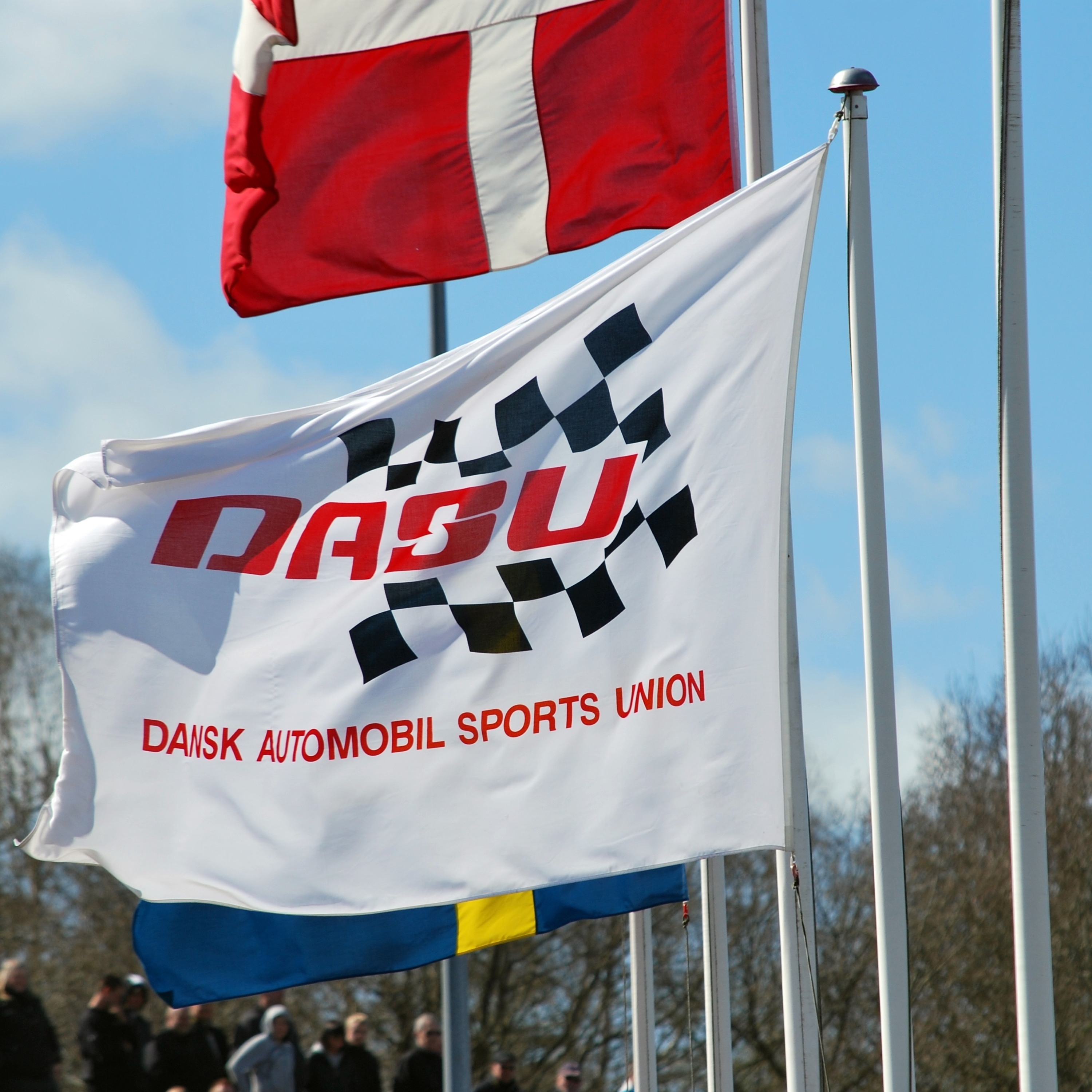 Det ternede flag