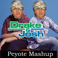 Drake & Josh X Fly Kicks X Harder Better Faster Stronger ( Peyote Peyton Mashup )