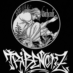 Tribenoize - Witchcraft (Part of Live)