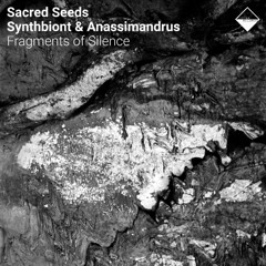 Warmth in Silence (Synthbiont & Anassimandrus Rework)
