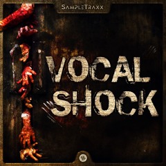 VOCAL SHOCK soundpack preview
