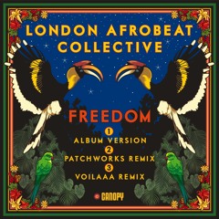 London Afrobeat Collective - Freedom (Voilaaa Remix)