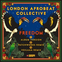 London Afrobeat Collective - Freedom Single