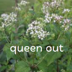 Ageratina altissima (shitpost)