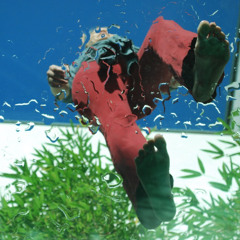 Barefoot dancing in a Cairo bar