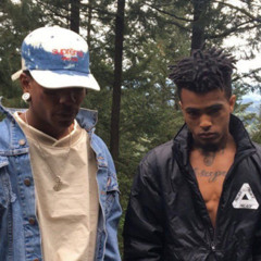 Rip X